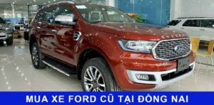 Xe ford cũ tại Đồng Nai